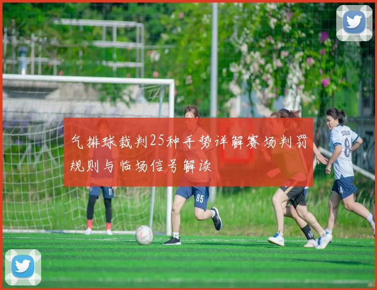 气排球裁判25种手势详解赛场判罚规则与临场信号解读